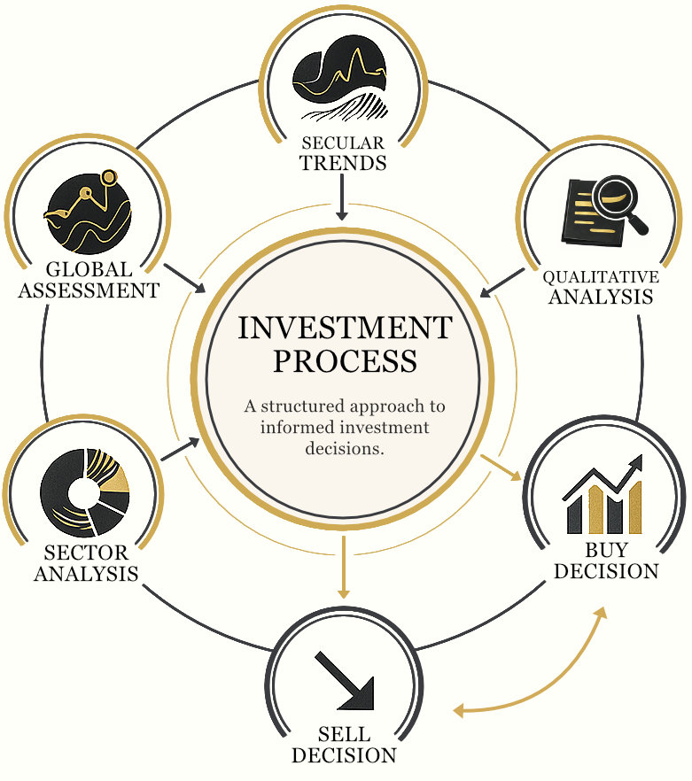 Investment Process Graphic